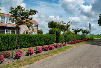 groepsaccommodatie zeeland hof van renesse 20